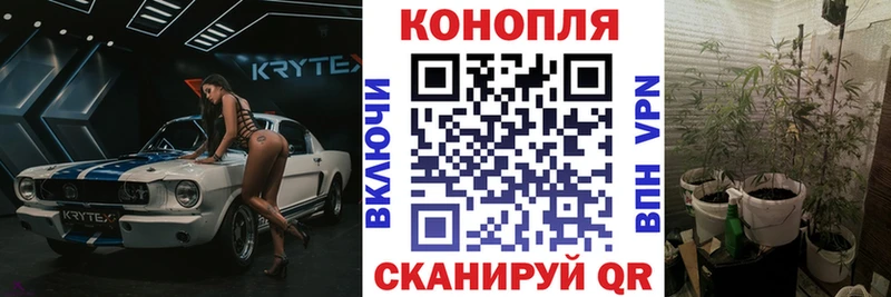 Каннабис план Тюкалинск